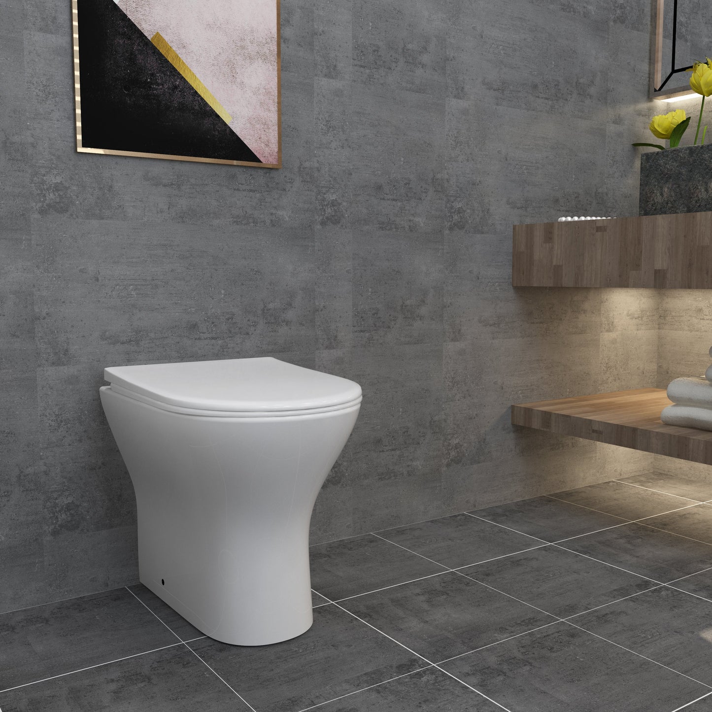 SKY-back-to-wall-toilet-0613