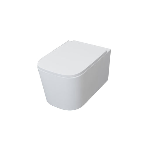 SKY BATHROOM Soft Close Seat (UF) Pan WC Rimless Wall Hung Toilet
