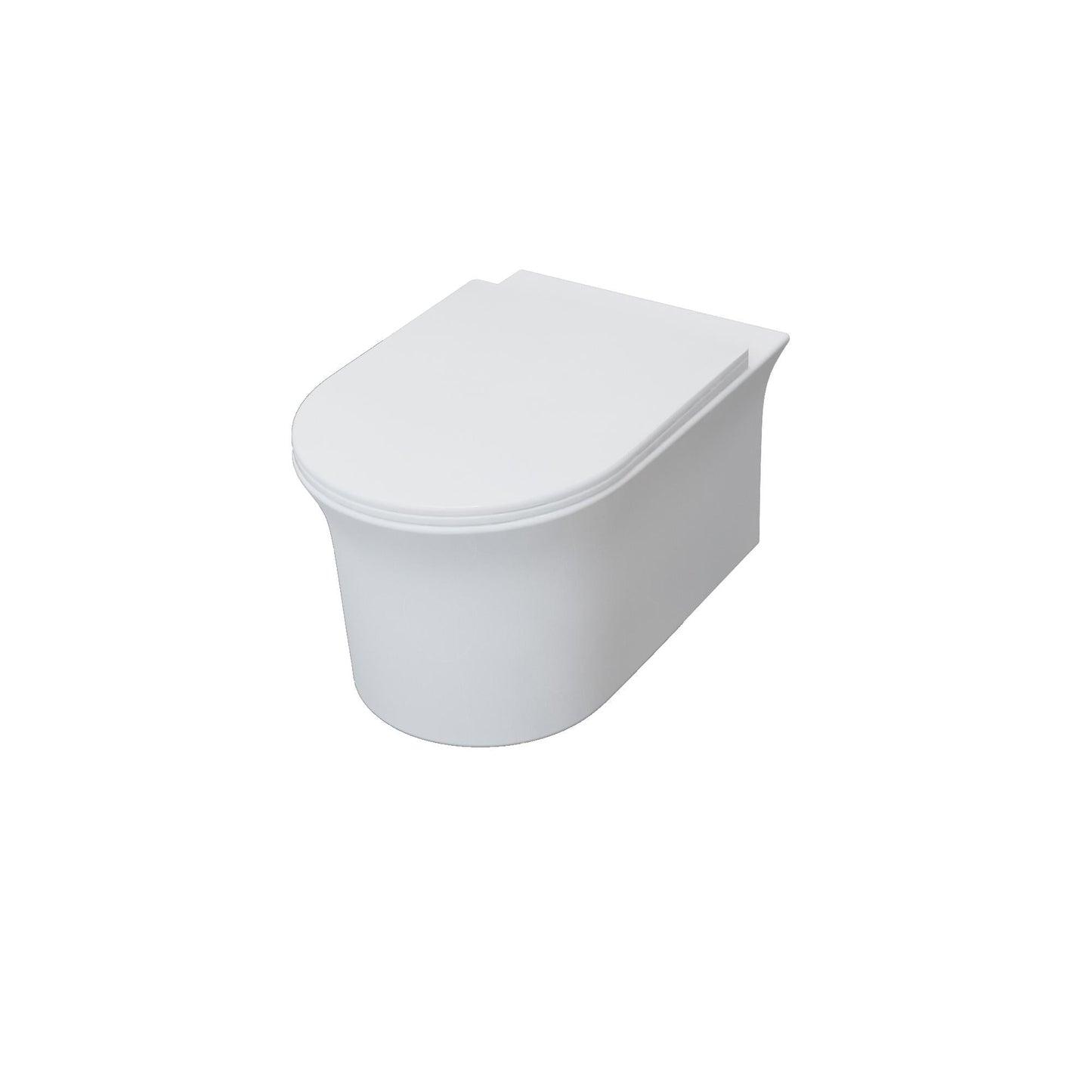 SKY BATHROOM Soft Close Seat Rimless Wall Hung Toilet Pan WC (UF)